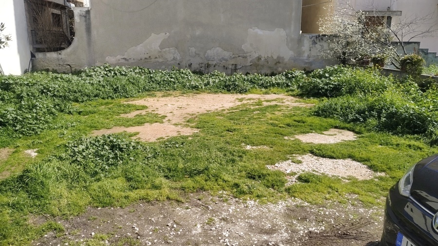 Gallery image 1