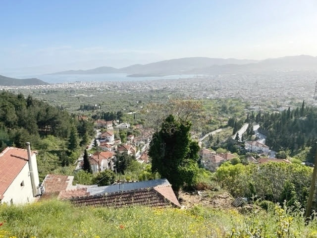 Gallery image 1