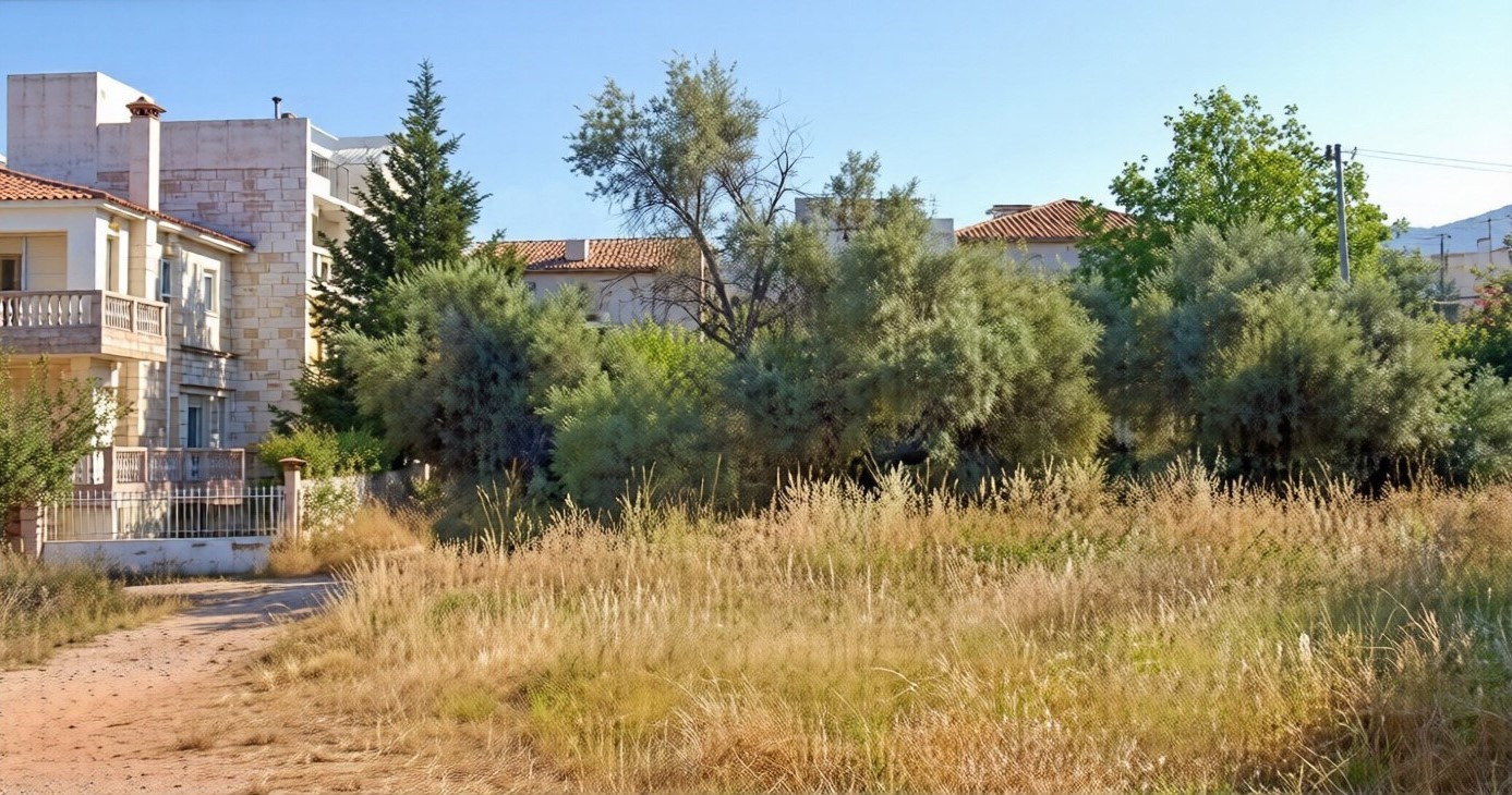 Gallery image 1