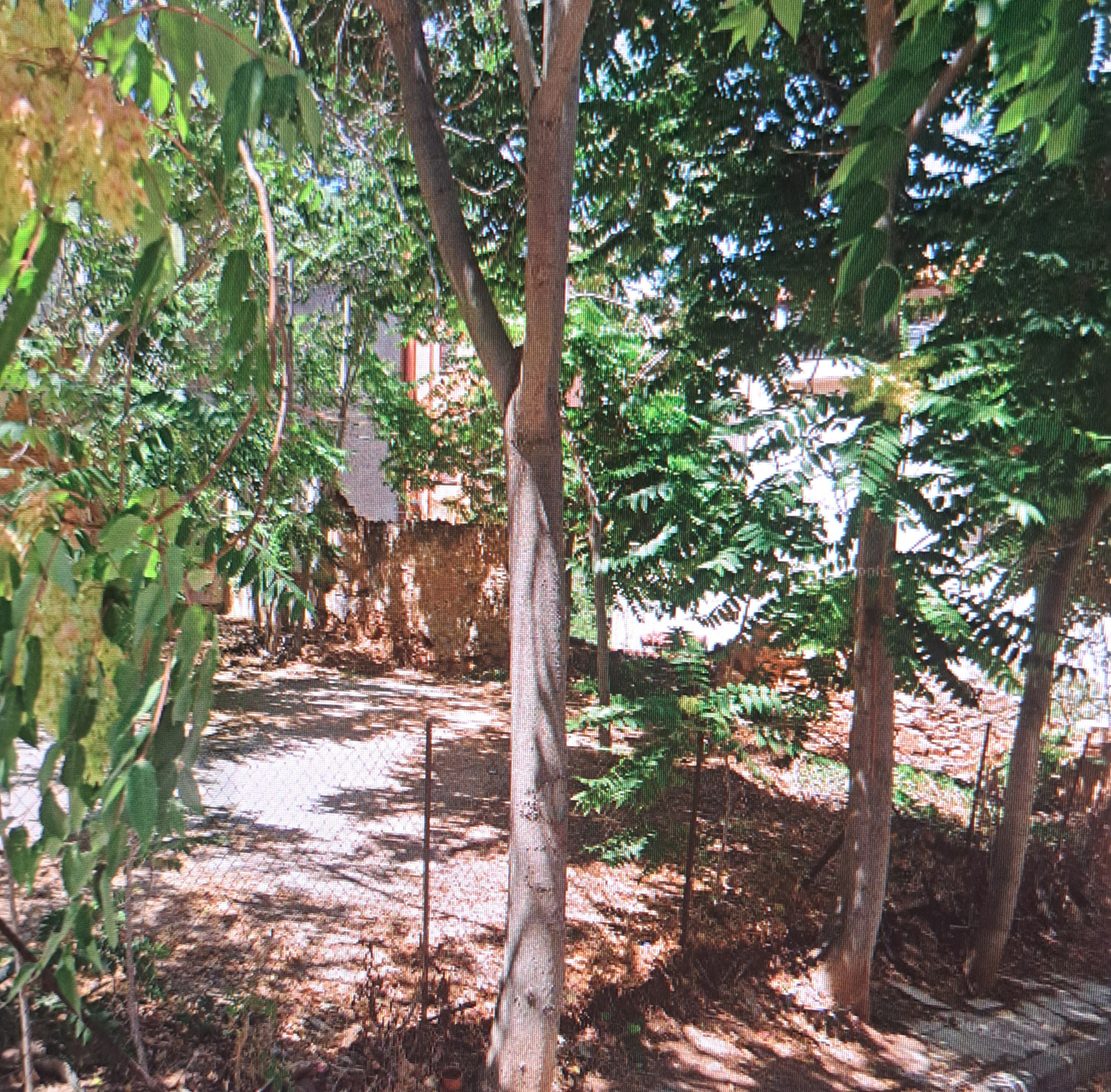 Gallery image 1