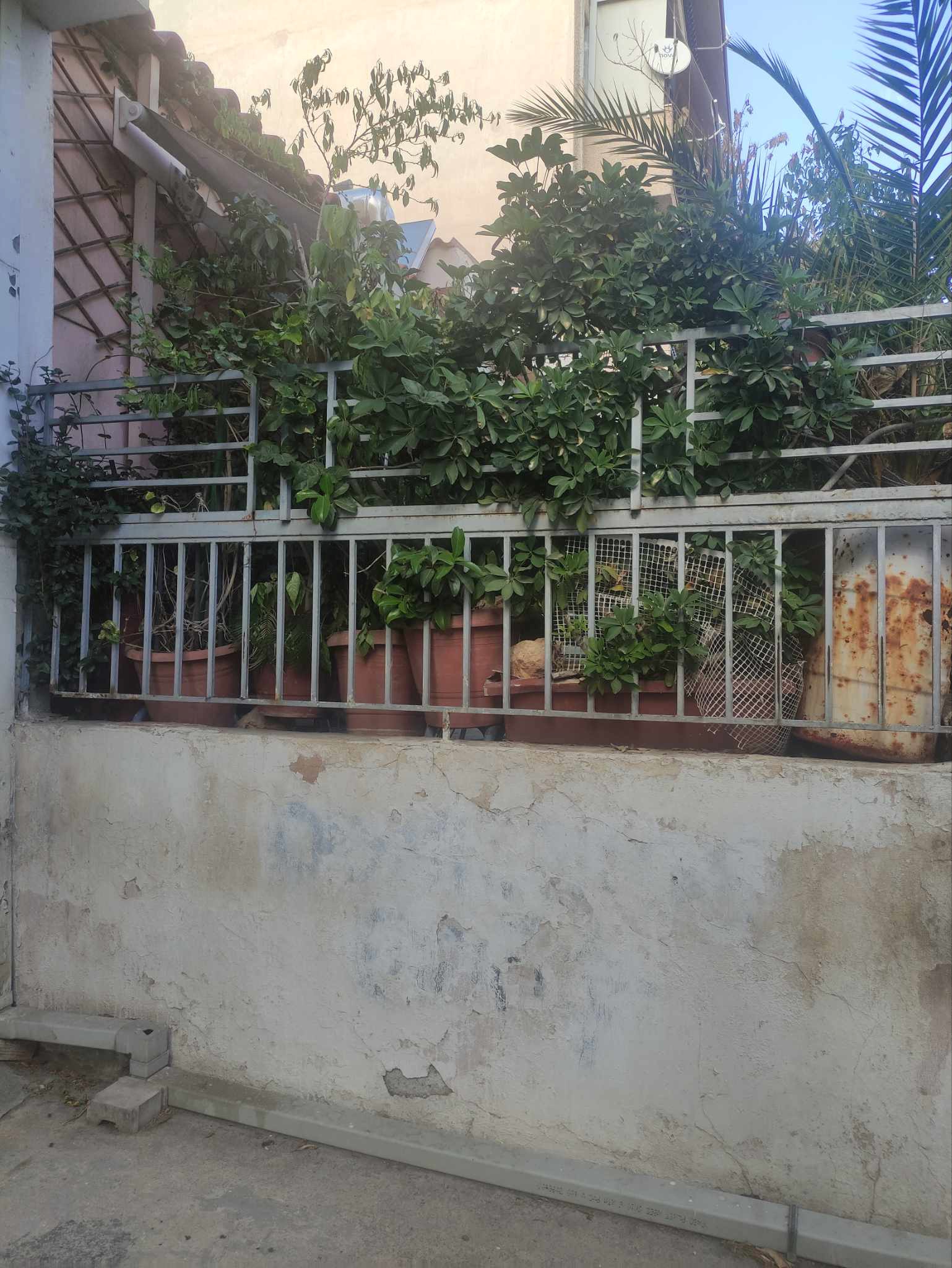 Gallery image 1