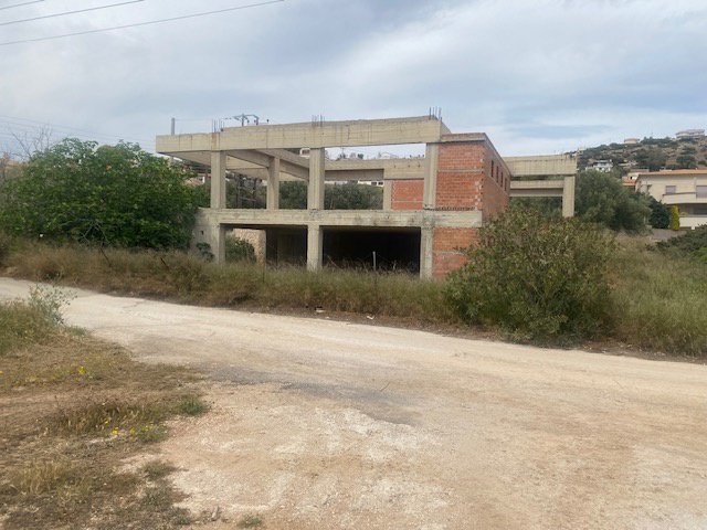 Gallery image 1
