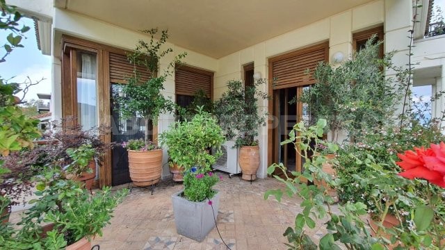 Gallery image 1
