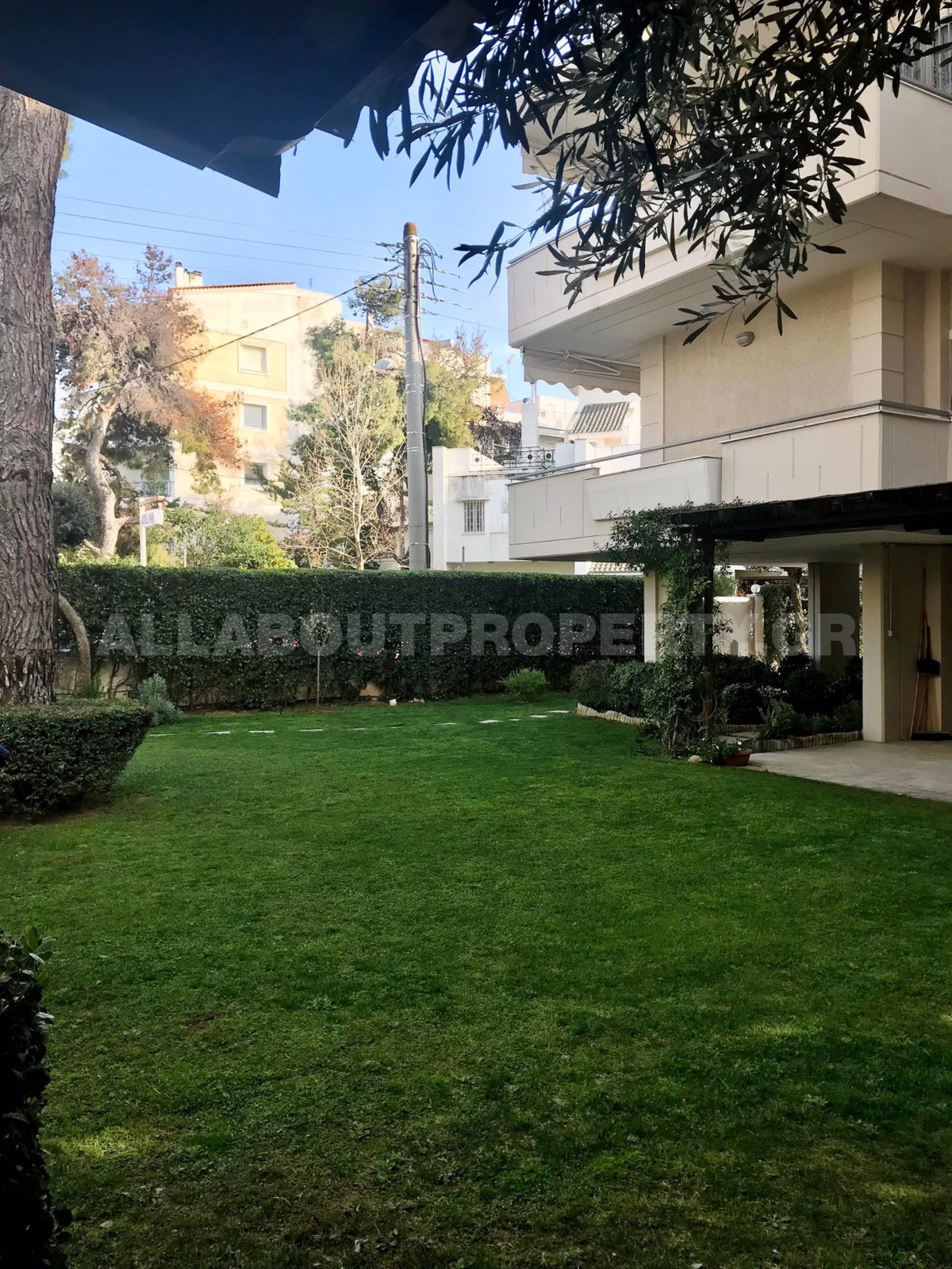 Gallery image 1