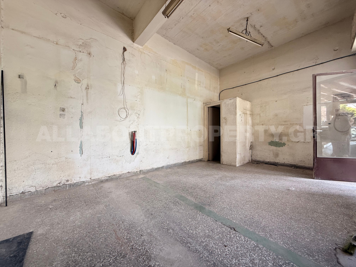 Gallery image 1