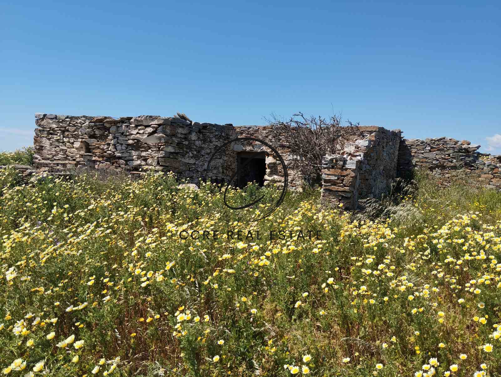 Gallery image 1