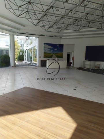 Gallery image 1