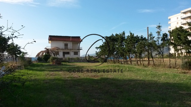 Gallery image 1