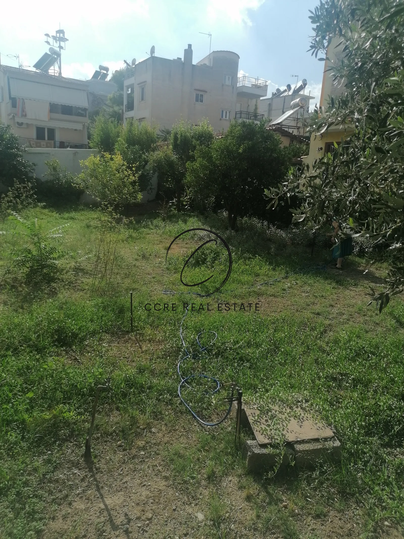 Gallery image 1