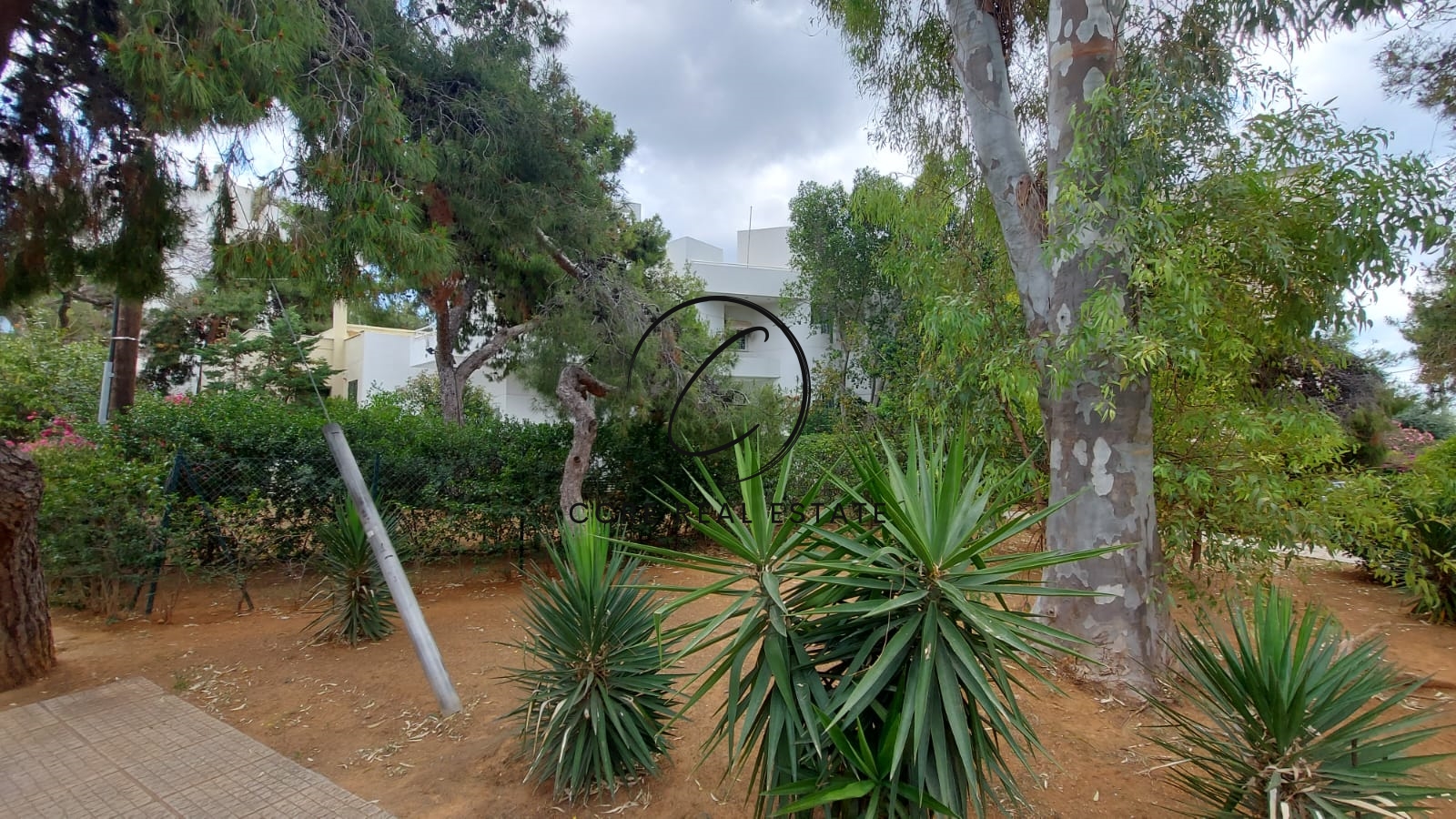 Gallery image 1