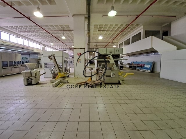Gallery image 1